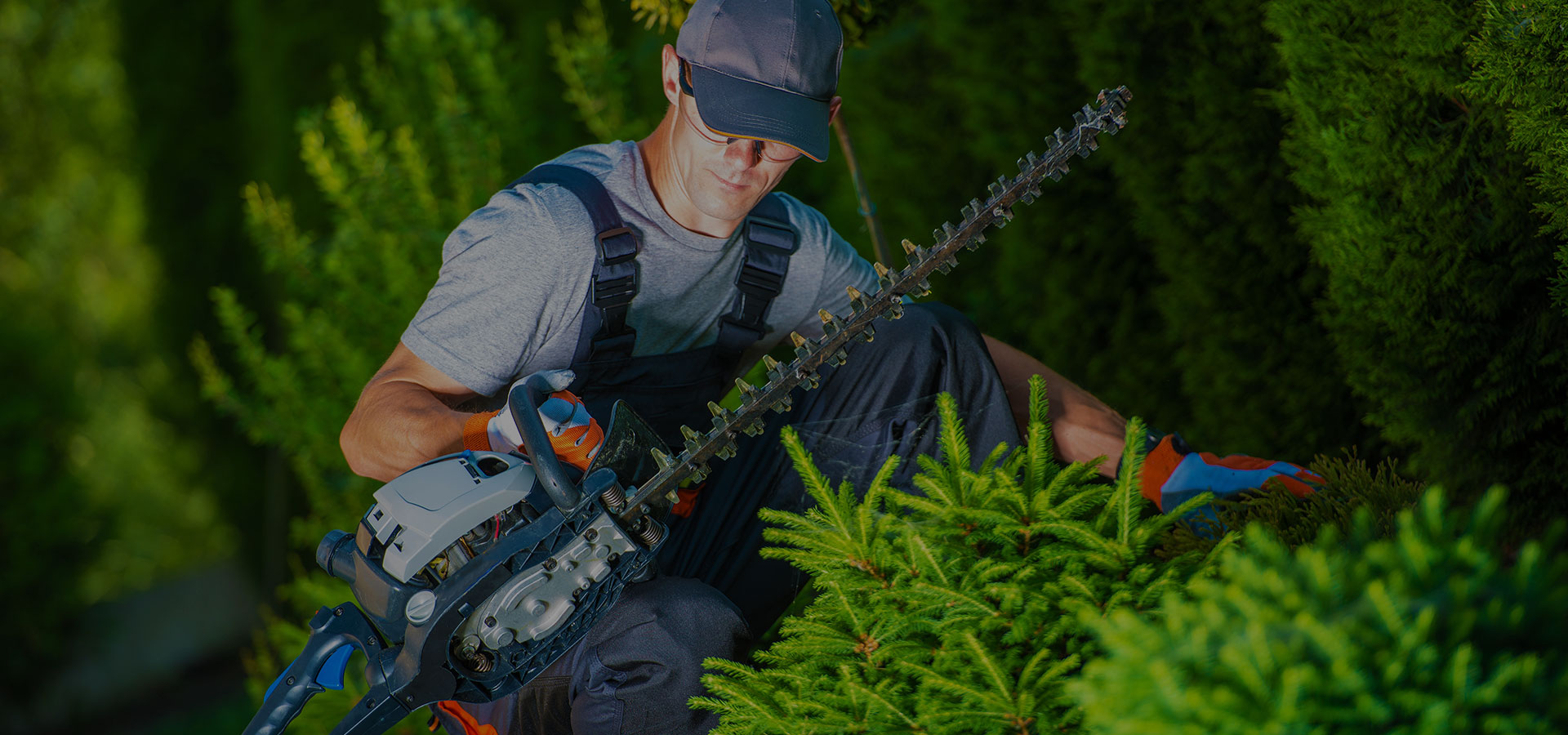 The New Gardening Landscaping