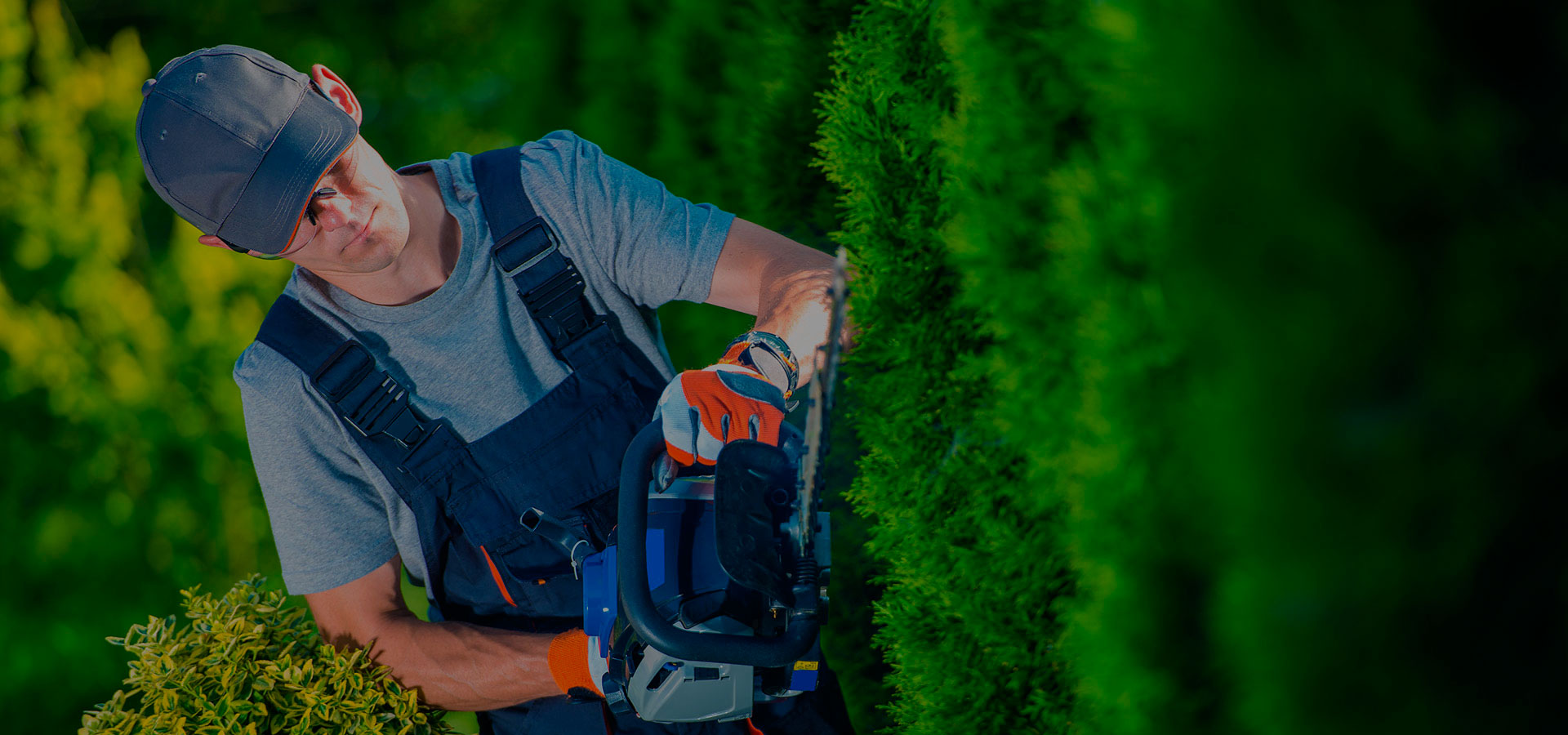 Grow with The New Gardening