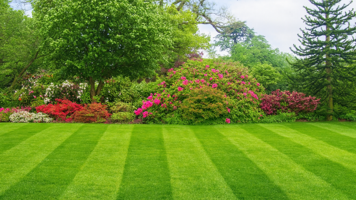 Best Gardening Service – What to Expect and How It Works