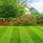 Best Gardening Service Bedford