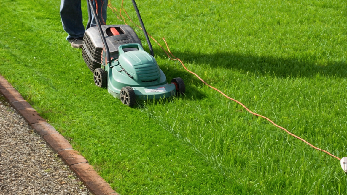 Common Garden Problems Solved by Professional Gardening Services