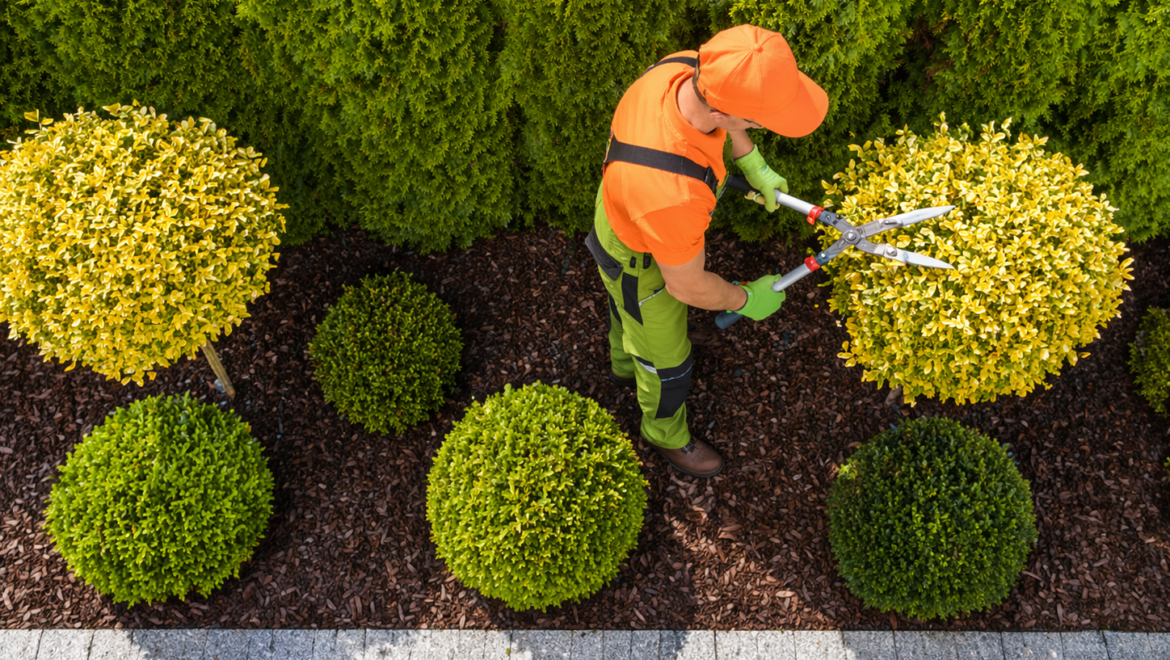 Why Professional Gardening Services in Bedford Are Worth the Investment