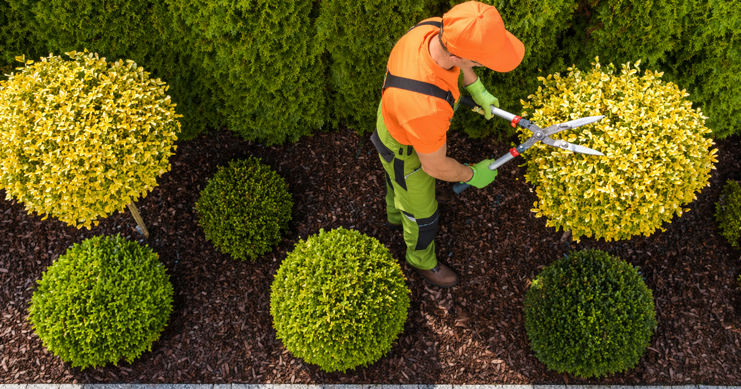 Why Professional Gardening Services in Bedford Are Worth the Investment