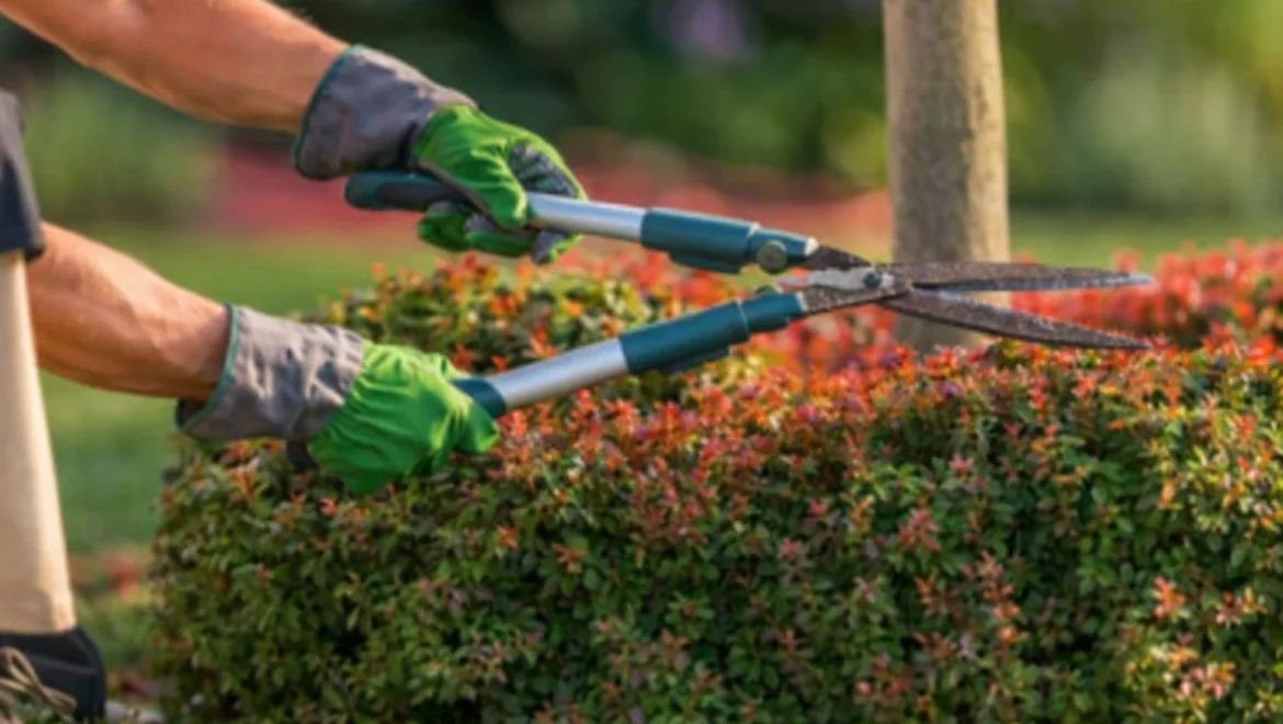 How to Choose the Best Gardening Services Bedford in 2026 