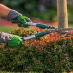 Gardening Services Bedford