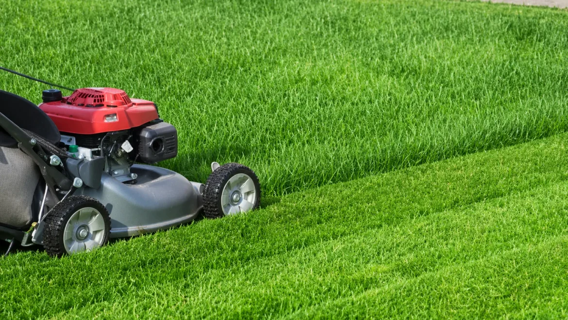 How Local Lawn Mowing Services Improve Your Property Value
