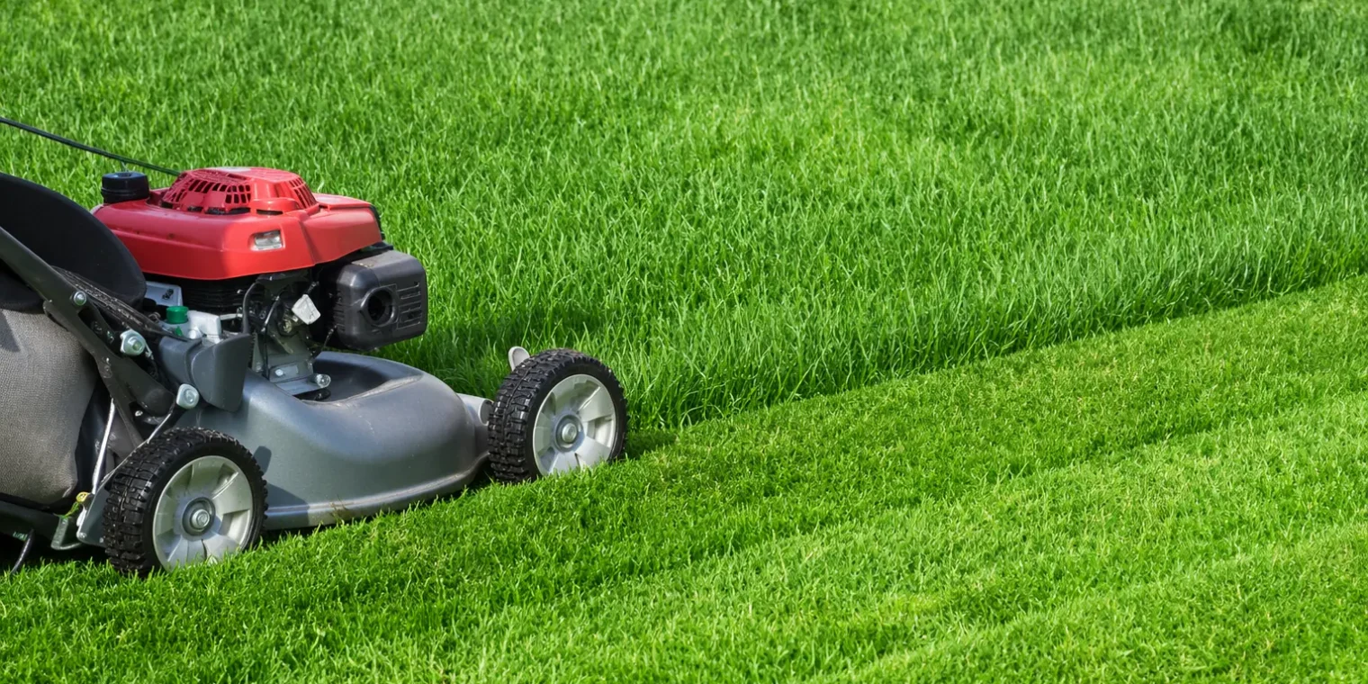 How Local Lawn Mowing Services Improve Your Property Value