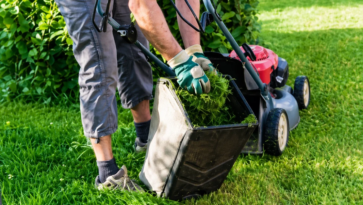 Expert Tips for Hiring Affordable Lawn Mowing Services