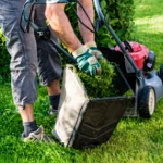 Affordable lawn mowing services​