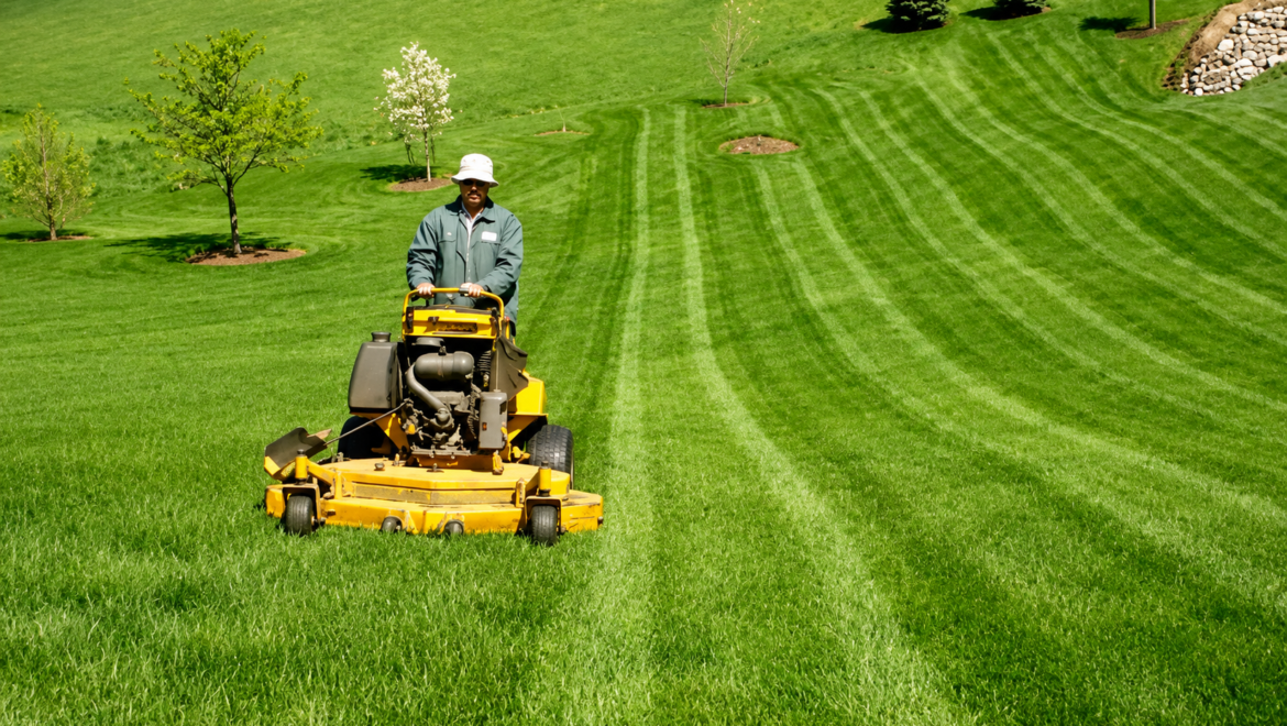 Best Lawn Mowing Service in Bedford for Perfect Lawns