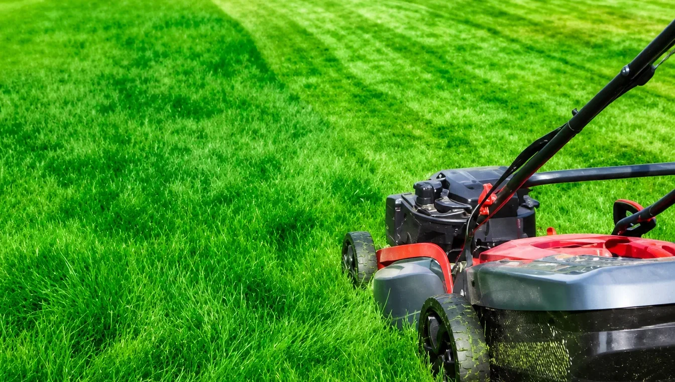 Top Gardening Services Bedford: Complete Guide to Choosing the Best Garden Experts